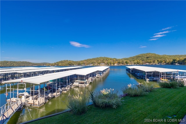 dock area with a water view and a yard