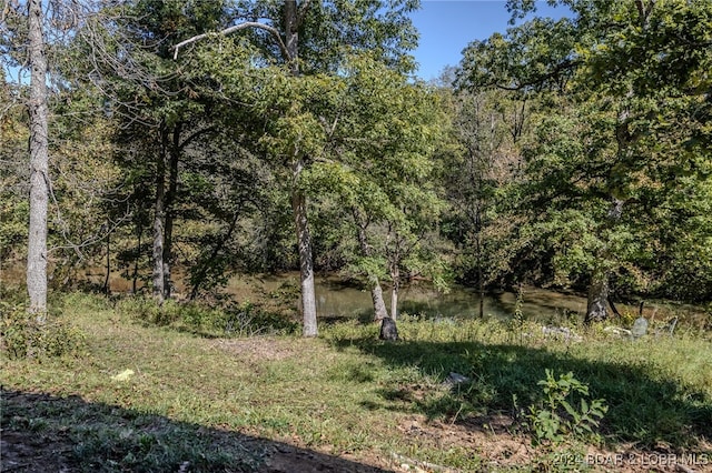 view of local wilderness featuring a water view