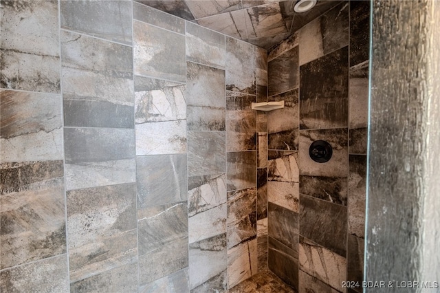 interior details featuring tiled shower