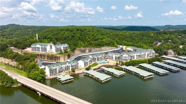 bird's eye view featuring a water view and a view of trees