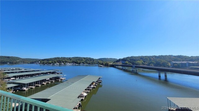 dock area with a water view