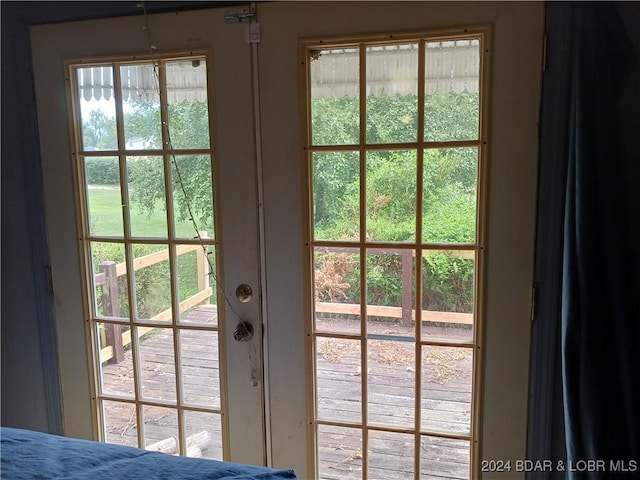 entryway with a healthy amount of sunlight