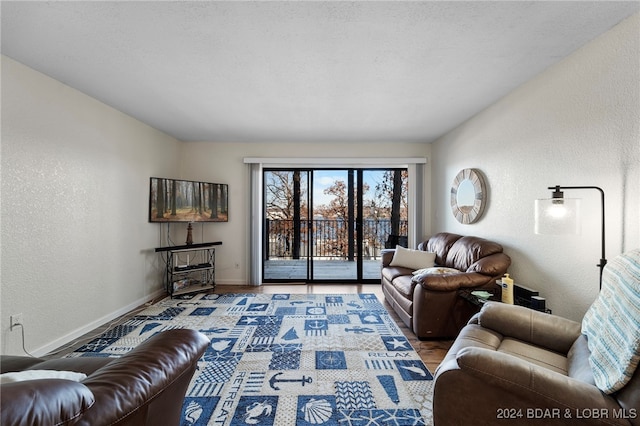 living room with a textured ceiling