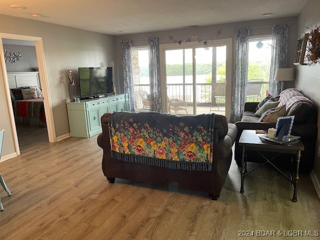 living room with light wood-type flooring