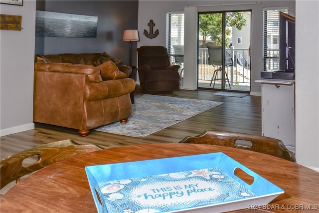 living room featuring hardwood / wood-style flooring