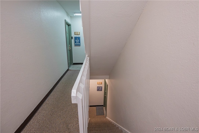 staircase with carpet floors