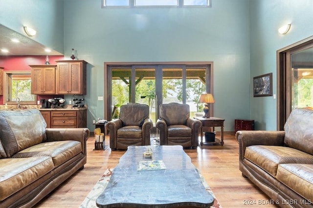 living room with a towering ceiling, light hardwood / wood-style floors, and a healthy amount of sunlight