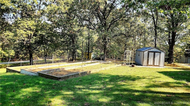 view of yard featuring a storage shed