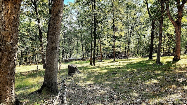 view of landscape