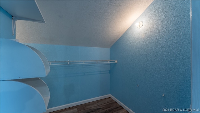 spacious closet with lofted ceiling and hardwood / wood-style floors