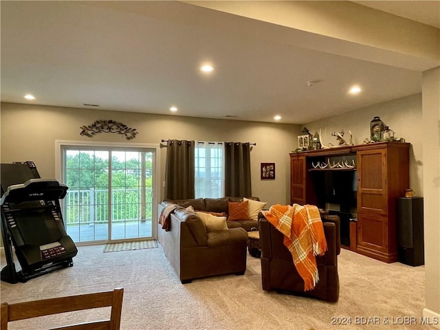 living room with light colored carpet