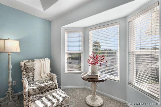 959 High St, Osage Beach, MO 65065 - living area with carpet floors and baseboards