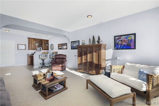 living room featuring carpet floors