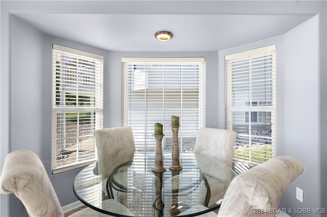 dining room featuring a wealth of natural light