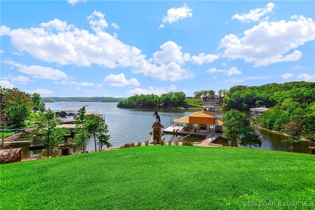 water view featuring a boat dock