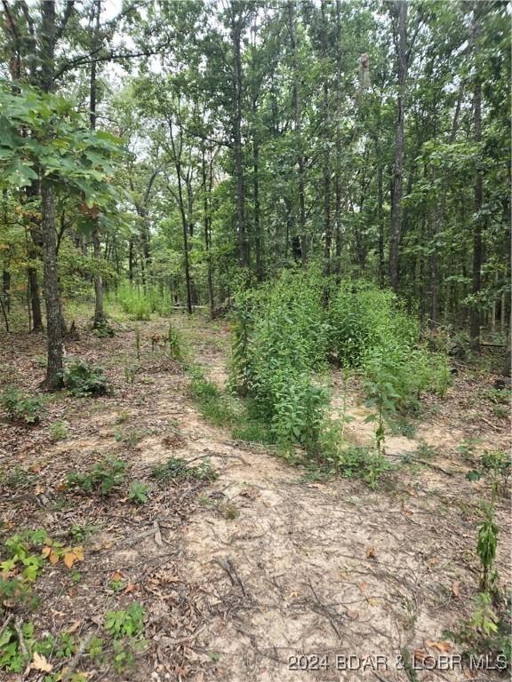 19198 Mystical Ln, Versailles MO, 65084 land for sale