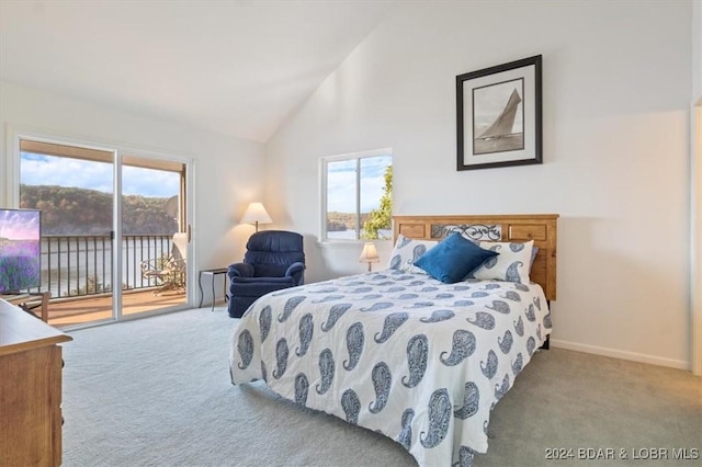 bedroom with access to exterior, light carpet, and multiple windows