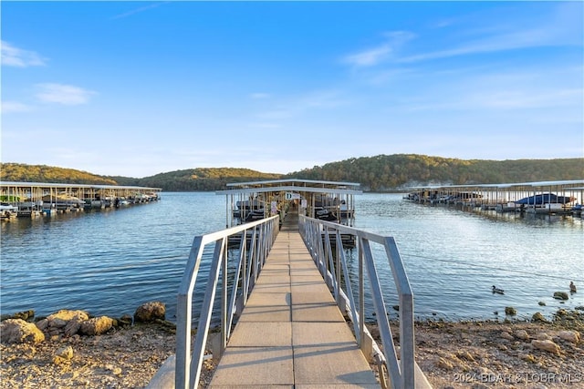 dock area featuring a water view and a view of trees