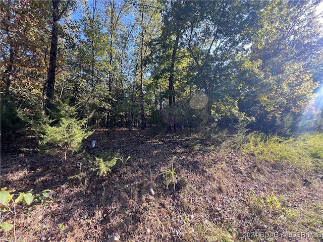 Listing photo 2 for LOT1229 Spring Creek Dr, Sunrise Beach MO 65079