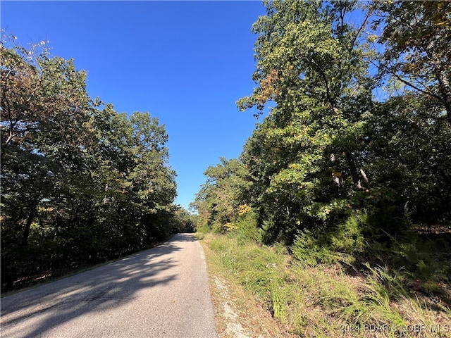 Listing photo 3 for LOT1229 Spring Creek Dr, Sunrise Beach MO 65079