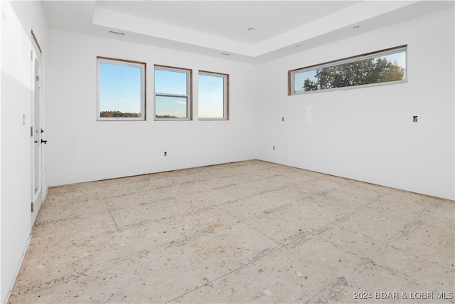 spare room featuring a tray ceiling