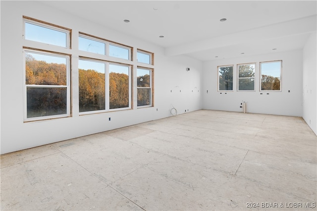 empty room featuring plenty of natural light