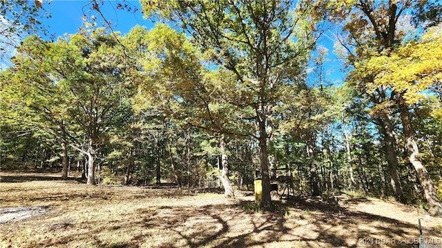 view of local wilderness