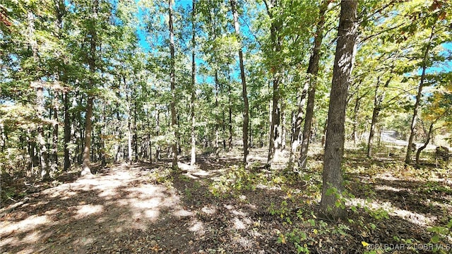 view of local wilderness