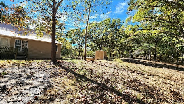 view of yard with a storage unit