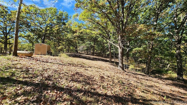 view of yard with a shed