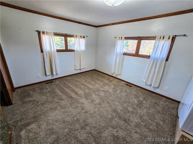 spare room with crown molding, a wealth of natural light, and carpet