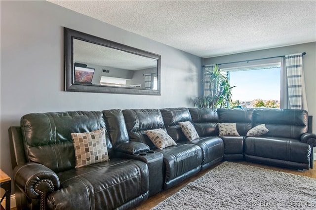 living room featuring hardwood / wood-style flooring and a textured ceiling