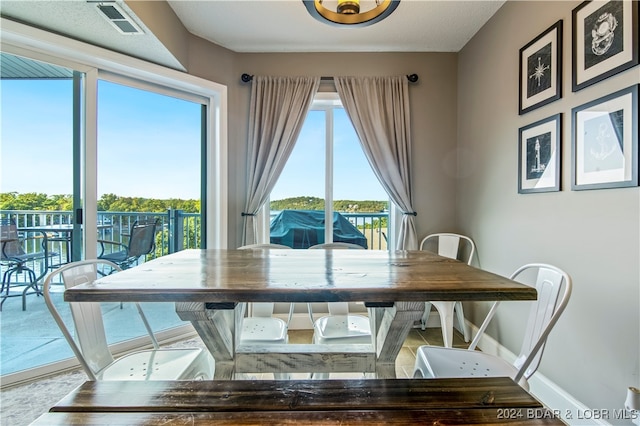 dining area featuring a wealth of natural light