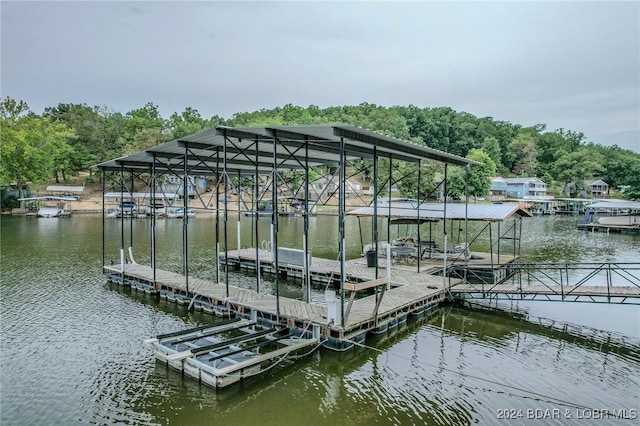 dock area with a water view