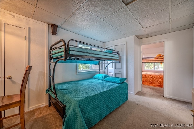 carpeted bedroom with a paneled ceiling and a closet