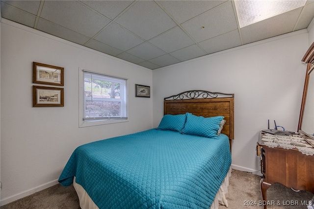 bedroom with a drop ceiling and carpet