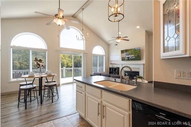 kitchen with hardwood / wood-style floors, plenty of natural light, black dishwasher, and sink