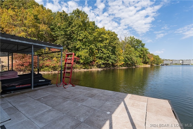 dock area with a water view