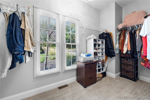 view of walk in closet