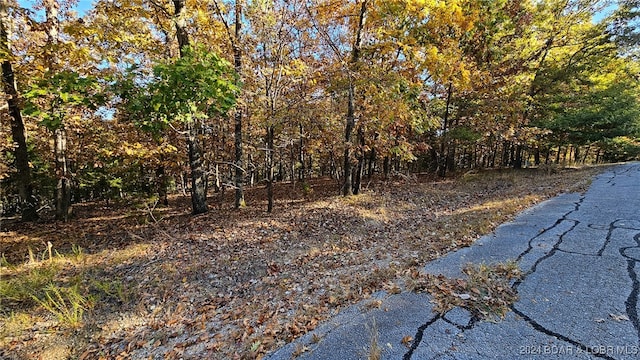 Listing photo 2 for LOT785 Gleaneagle Ct, Porto Cima MO 65079