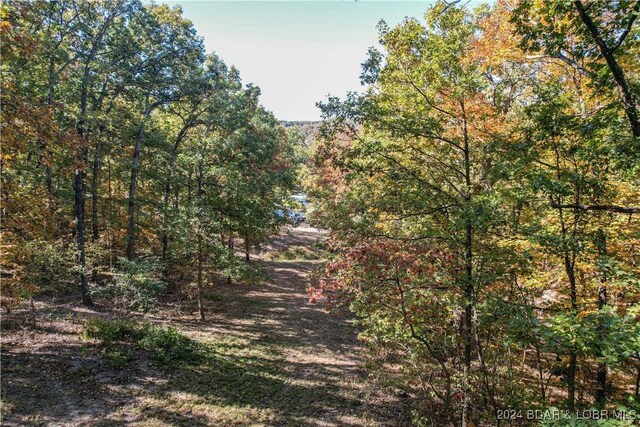 641 Porter Mill Springs Rd, Sunrise Beach, MO 65079 - view of undeveloped land