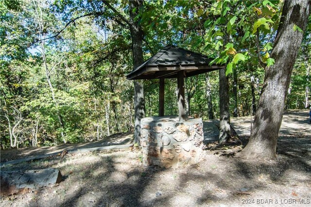 641 Porter Mill Springs Rd, Sunrise Beach, MO 65079 - view of yard