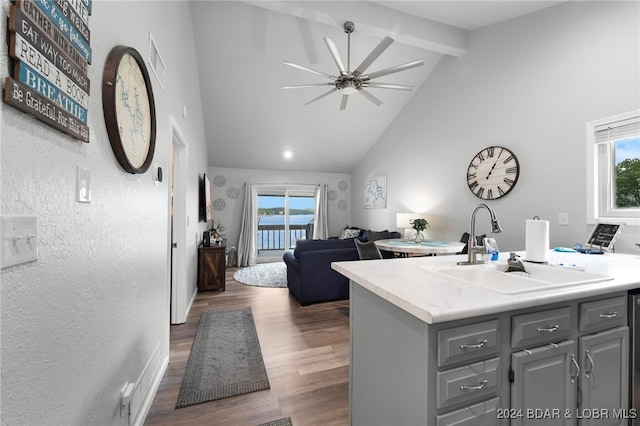 kitchen with dark hardwood / wood-style floors, gray cabinets, a wealth of natural light, and sink