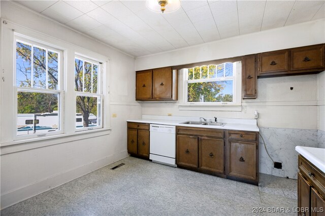 kitchen with white dishwasher, sink, and dark brown cabinetry