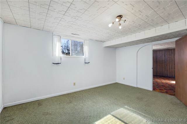 basement featuring carpet flooring