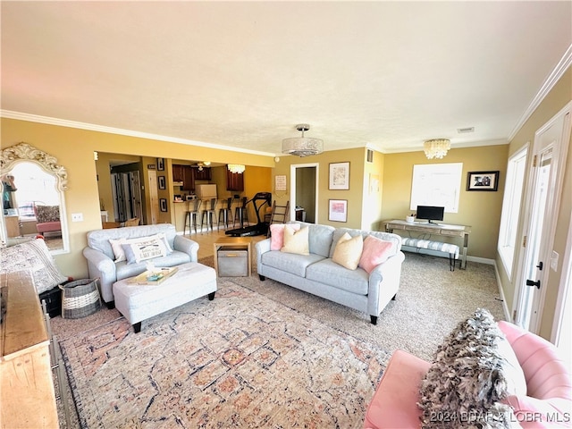 carpeted living room with crown molding and an inviting chandelier