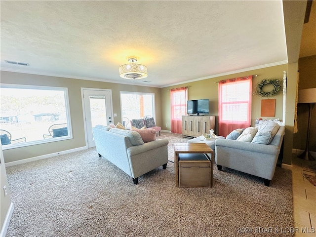 living room featuring light carpet, a textured ceiling, ornamental molding, and a wealth of natural light