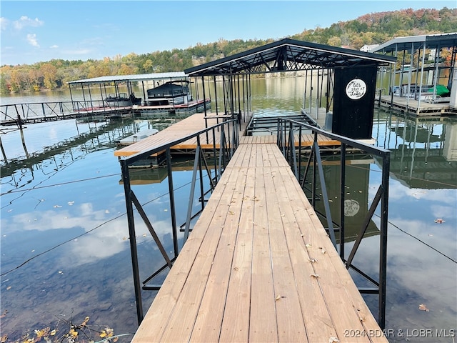 dock area with a water view