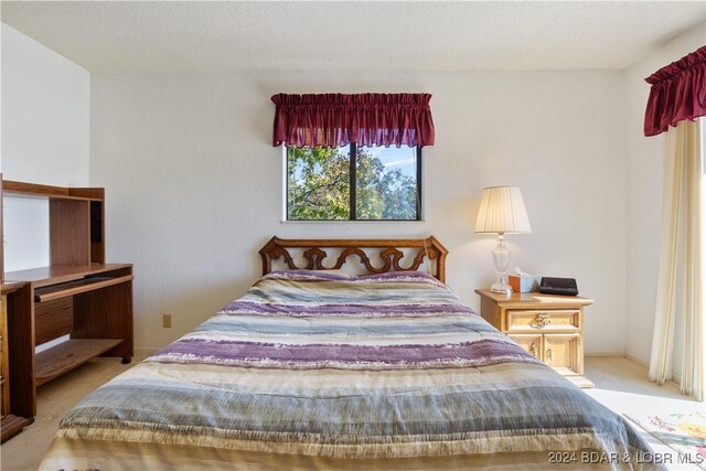 775 Winn Rd Unit 4I, Osage Beach, MO 65065 - view of carpeted bedroom