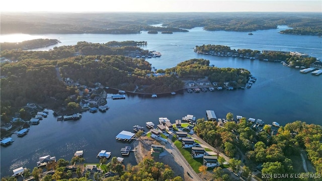 6 Forest Lake Cir, Lake Ozark, MO 65049 - aerial view of a large body of water